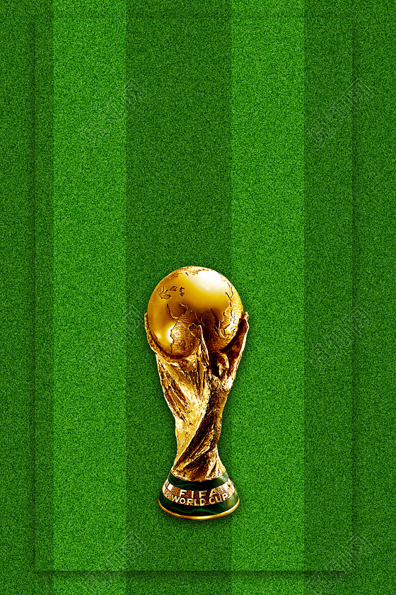 球迷关注的 球迷关注的